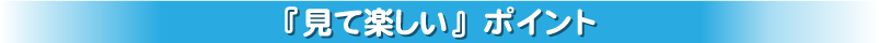 『見て楽しい』ポイント