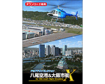 FSアドオンコレクション 八尾空港&大阪市街